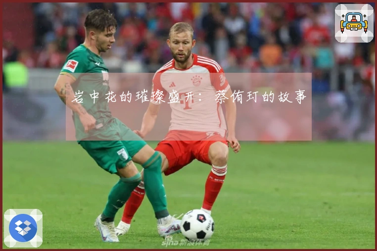 岩中花的璀璨盛开：蔡侑玎的故事