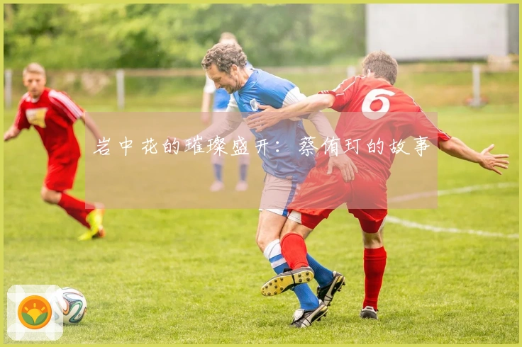 岩中花的璀璨盛开：蔡侑玎的故事